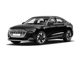 Audi E-Tron Sportback (20-22) compatible EV chargers