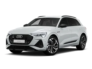 Audi E-Tron SUV (19-22) compatible EV chargers